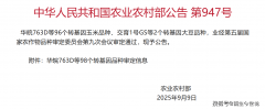取其被美国不如自给自足：中国转基因大